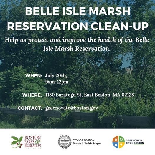 Belle Isle Marsh Reservation Clean Up At 1150 Saratoga St East
