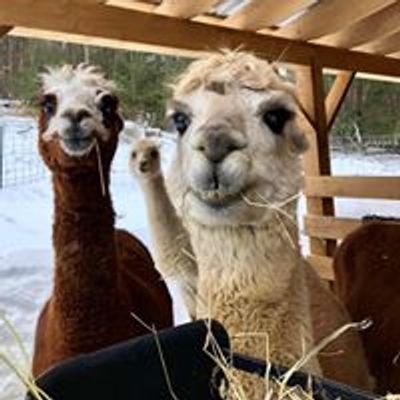 Magzalea Farm & Sanctuary