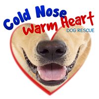 Cold Nose Warm Heart NJ