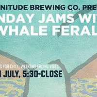 gainesville weekend events whale jams feral sunday july