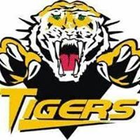 Vermilion Jr. B Tigers
