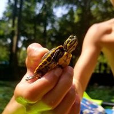Mangrove School of Sarasota