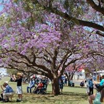 Jacaranda Day Goombungee