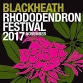 Blackheath Rhododendron Festival