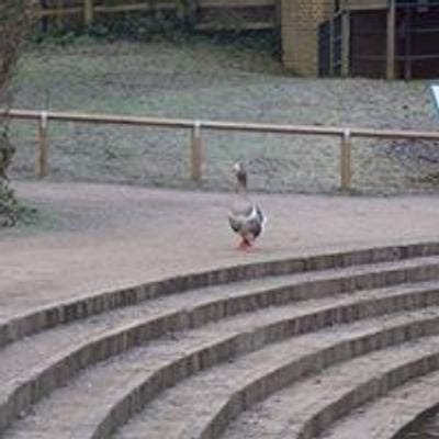 Capstone Farm Country Park