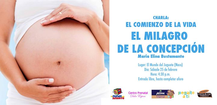 mundo del juguete plaza naco