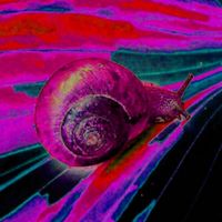 Těžká psychedelika
