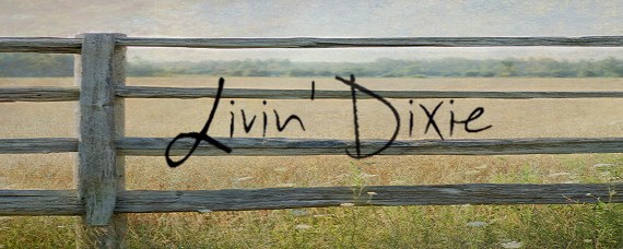 Livin Dixie At The Rusty Chandelier Ridgeland Livin Dixie At The Rusty Chandelier