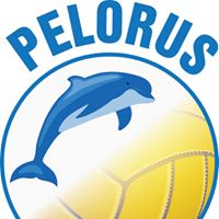 Pelorus Netball Club