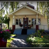 The Lady Bug Studio