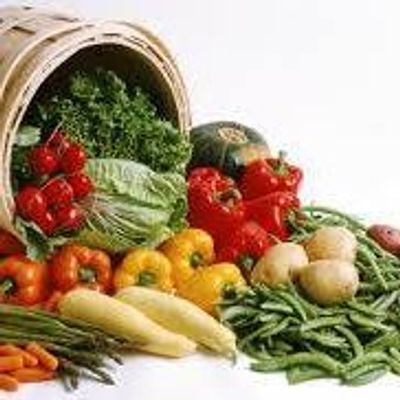 White Mountain Community Garden