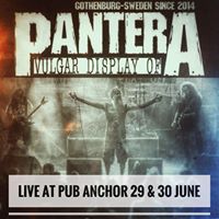 Vulgar Display of Pantera - Cover Band