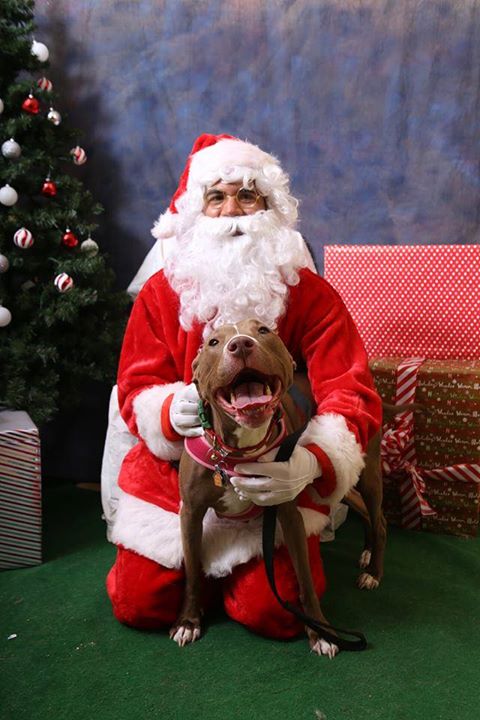 Picture Your Pets With Santa At Feeders Supply Co Shepherdsville
