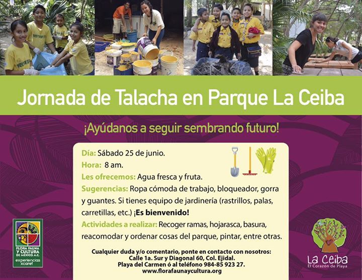 Com Pintar Les Ones En Una Platja