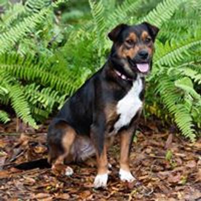 Delilah’s 2nd Chance Rescue