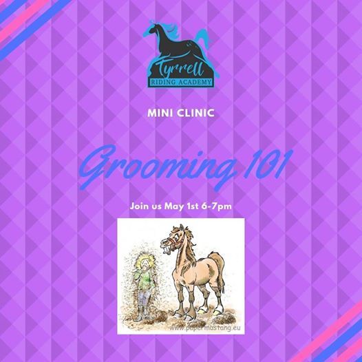 Grooming 101 Mini Clinic At Tyrrell Riding Academy Strathmore