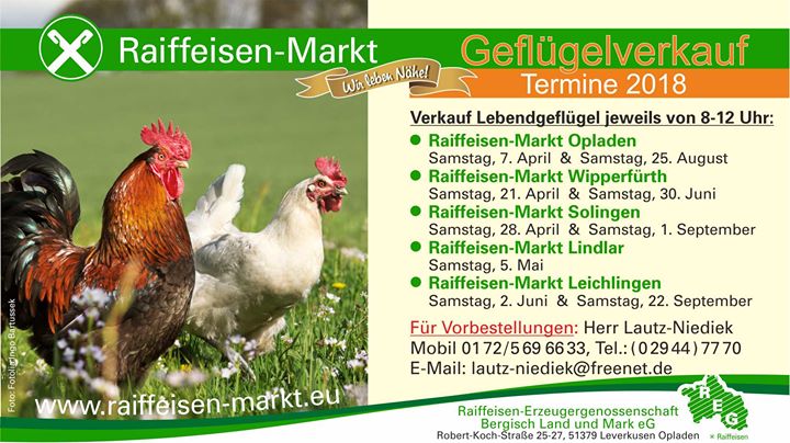 Raiffeisen Dortmund Raiffeisen Dortmund