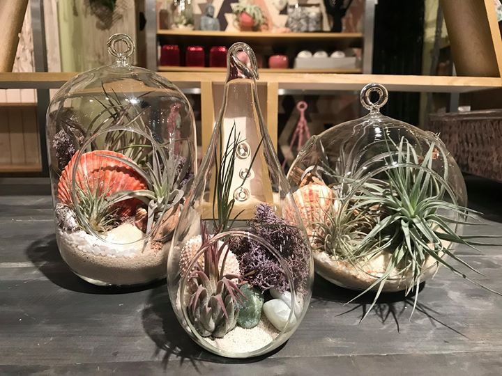 Tipsy Terrarium Virginia Beach Tipsy Terrarium Virginia Beach