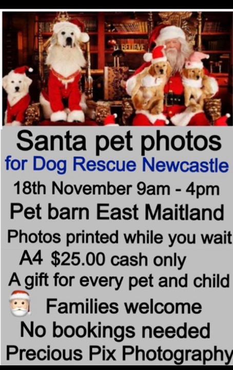 Santa Photos With Your Pets At Pet Barn In East Maitland Maitland