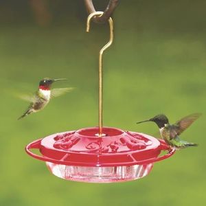 Hummingbirds Acrobats Of The Sky At Wild Birds Unlimited