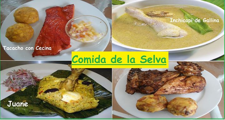 Comida De La Selva