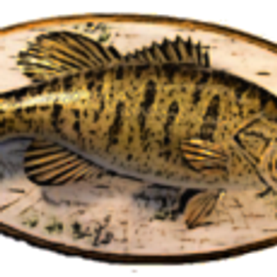 Cascade Bass Masters