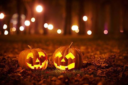 halloween cupcake wars for kids