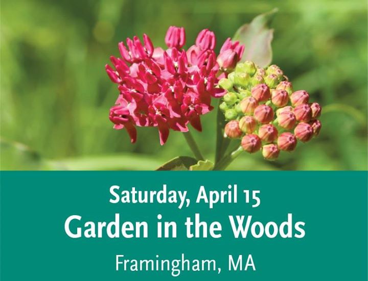 Members Open House Garden In The Woods At New England Wild