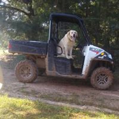 Pine Lane Atv trails