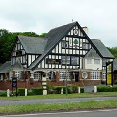 The Mitre Oak