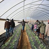 Black Soil: Our Better Nature
