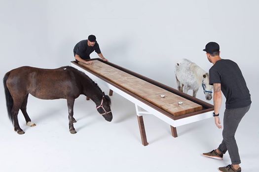 Rendezvous Shuffleboard Tournament Everyone Welcome At Royal