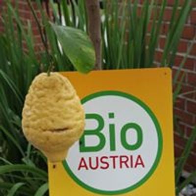 Der BIO Zitrusgarten