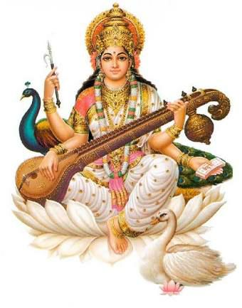 Image result for સન્માન