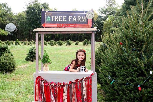 christmas mini sessions i am offering christmas minis at country cove christmas tree farm - Country Cove Christmas Tree Farm christmas mini sessions i am offering christmas minis at country cove christmas tree farm - Country Cove Christmas Tree Farm