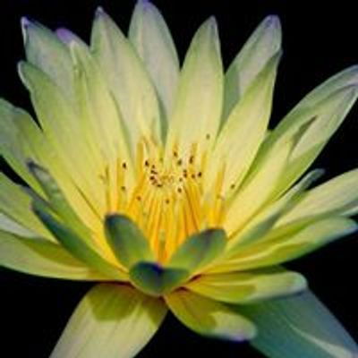 Meditation-Magic