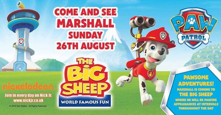 Paw Patrol at The Big Sheep