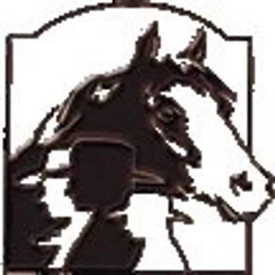 www.sjphc.net