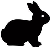 Rabbitfoot