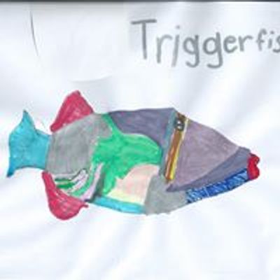 Triggerfish