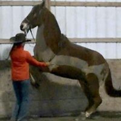 Rudy Horsemanship