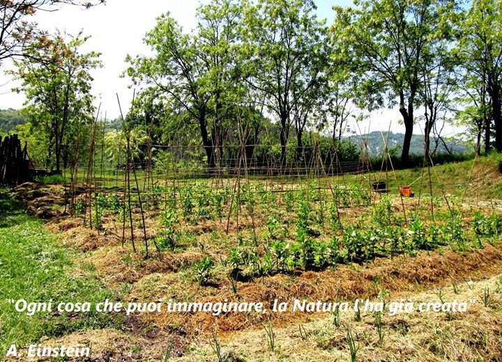 Progettare e costruire un orto sinergico at bosco delle rune, taipana Progettare un orto