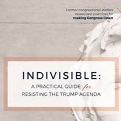 Ann Arbor Indivisible
