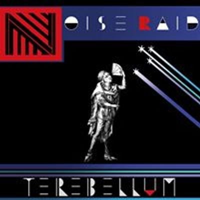 Noise Raid