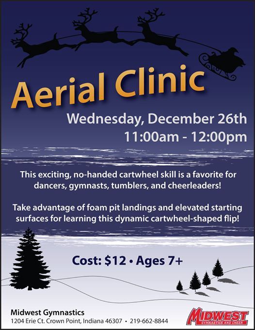 Aerial Clinic At Midwest Gymnastics Crown Point1204 Erie Court
