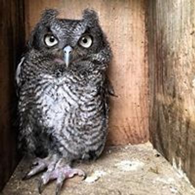 Cape Wildlife Center