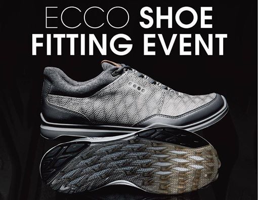 ecco shoes run big