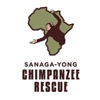Sanaga-Yong Chimpanzee Rescue