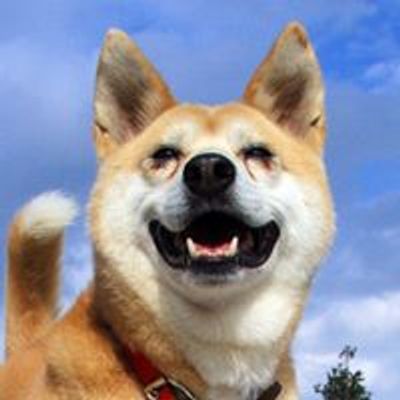 福島県 - SORA animal peace project