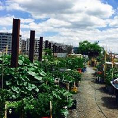 Hafengarten